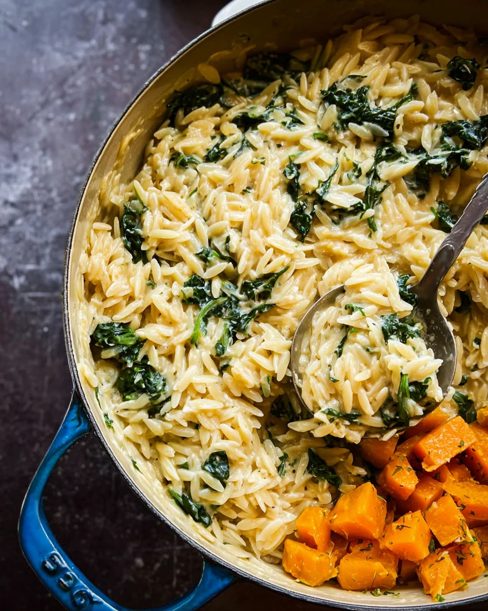 Creamy Orzo Pasta With Roasted Butternut Squash