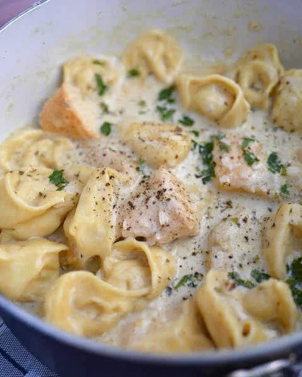 Home 5 Creamy Garlic Tortellini Alfredo 0 2026 02 15