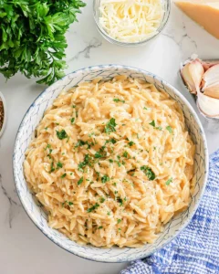 One-Pot-Garlic-Parmesan-Orzo-Recipe