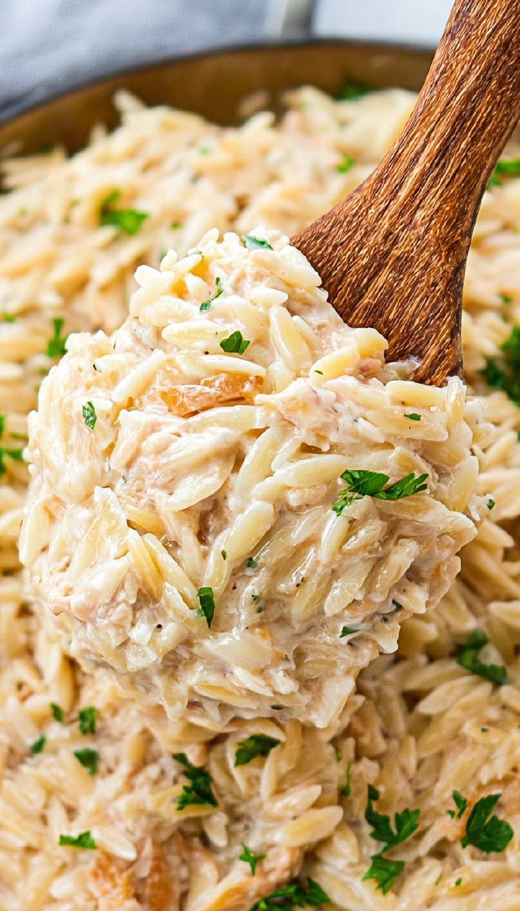 One Pot Garlic Parmesan Orzo 7 One Pot Garlic Parmesan Orzo