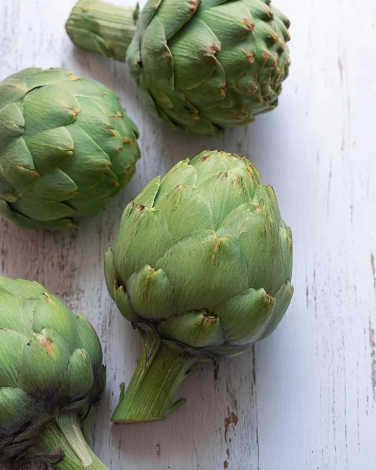 Prep-An-Artichoke-Recipe