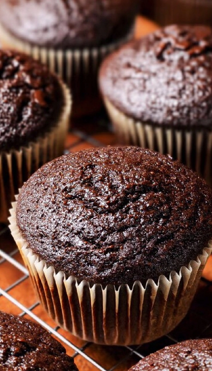 Chocolate Cupcakes